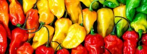 Chilli peppers can help extend your life